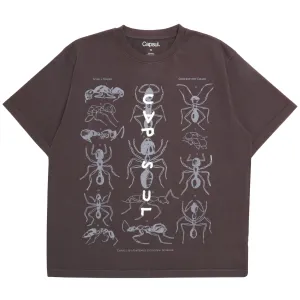 ANT FAM TEE (CAFÉ NOIR BROWN)