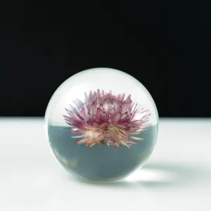 Chrysanthemum Paperweight