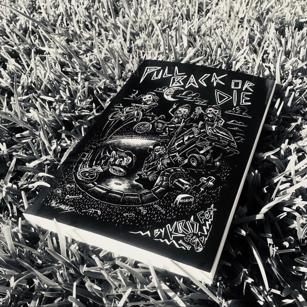 Fast and Loose Novel
