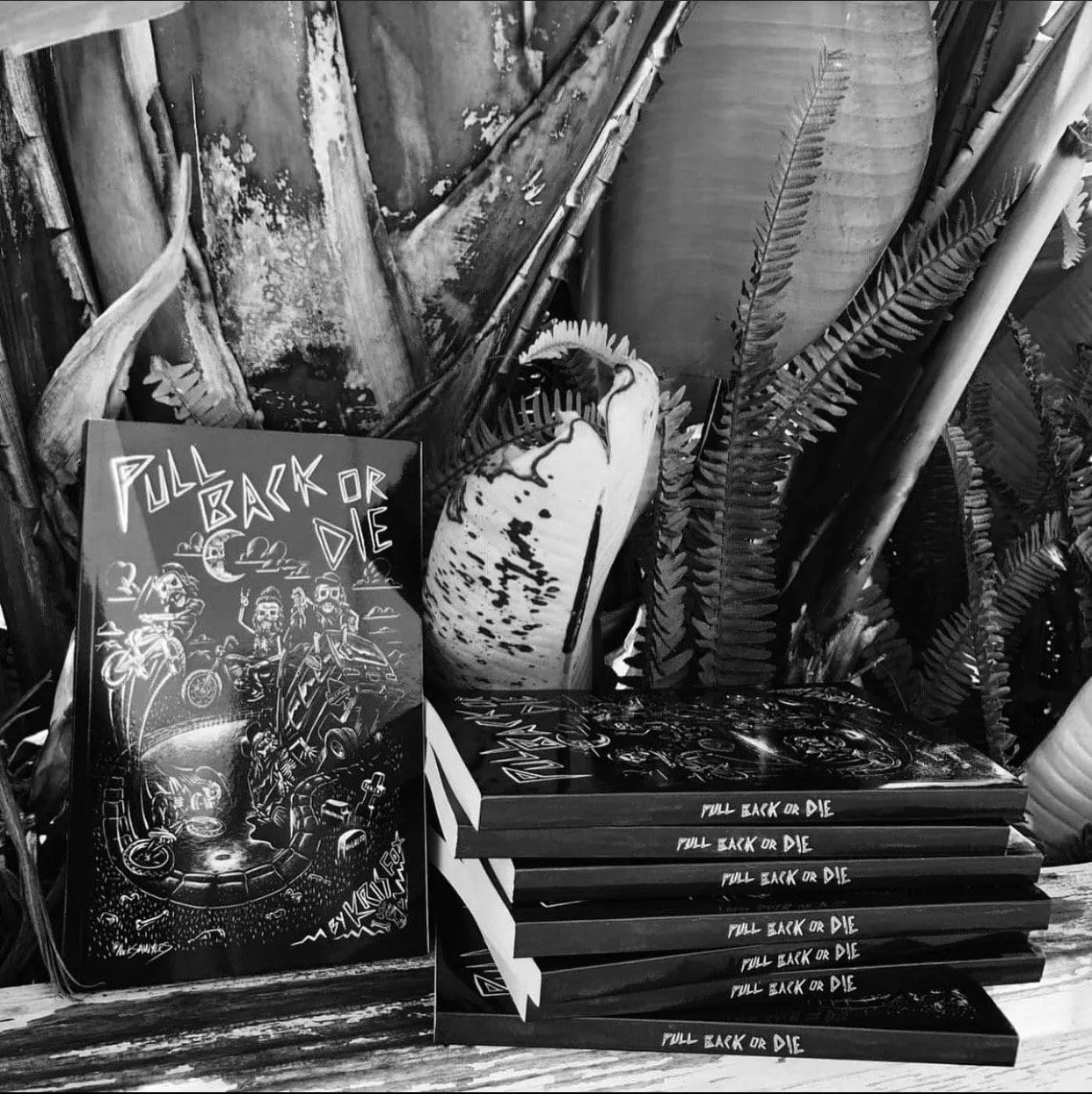 Fast and Loose Novel
