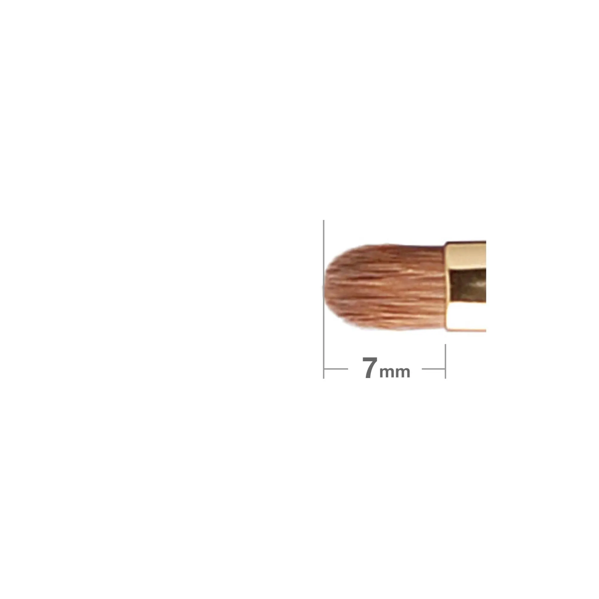 Hakuhodo S148Bk Eyeshadow Brush Round & Flat
