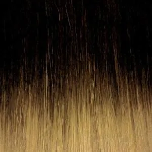 Janet Collection 100 % Remy Human Hair - H/H MOMMY - Clearance