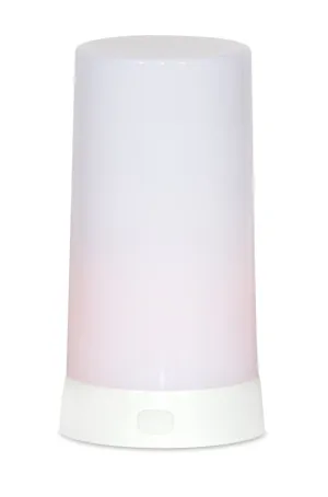 LED Flame w/ Timer