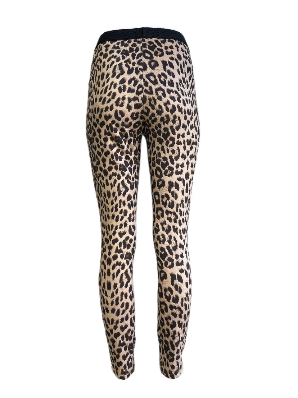 LOST IN LUNAR Women's Leopard Viper Pants NWT