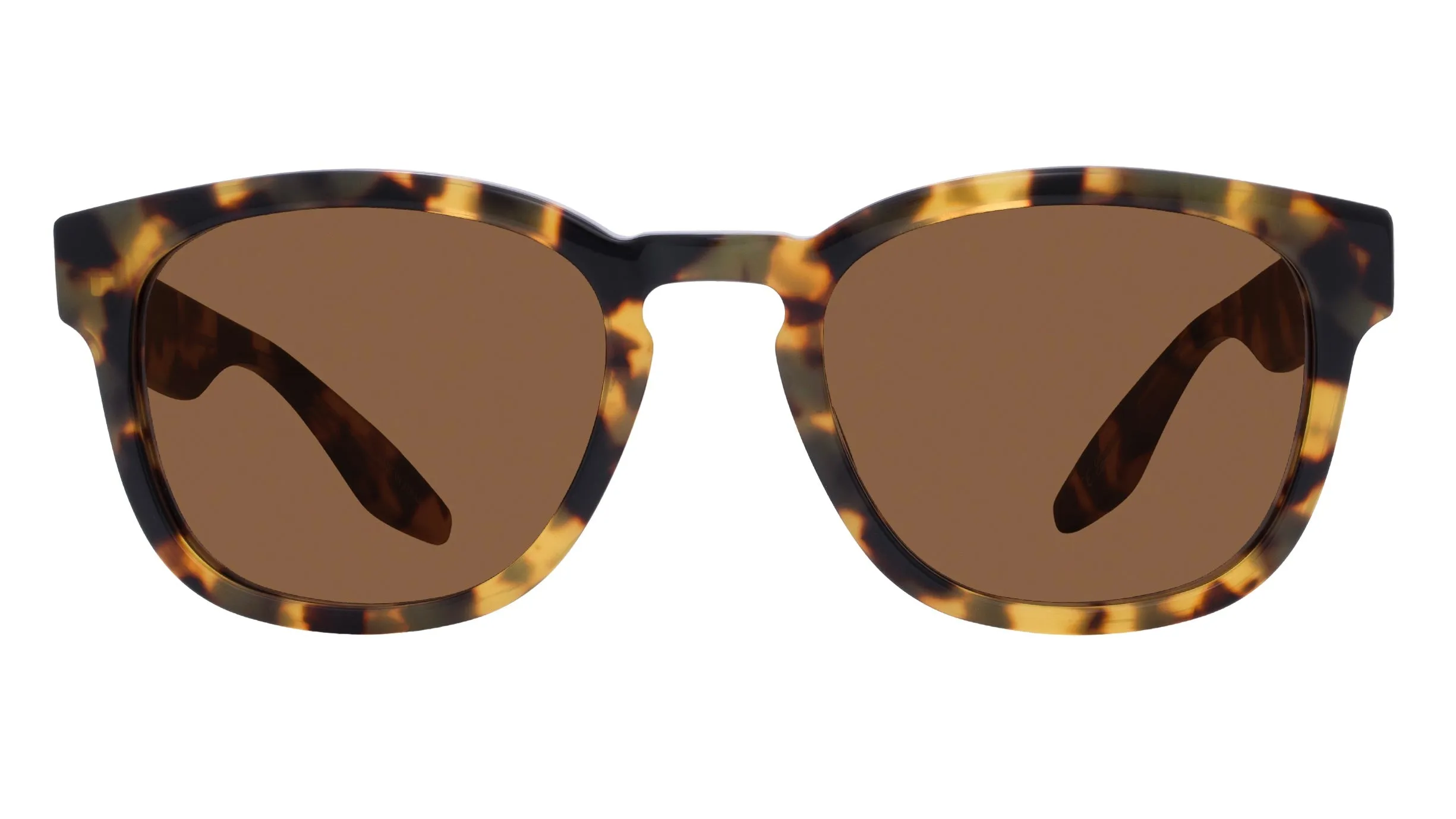 NELSON-Tokyo Tortoise / Espresso