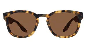 NELSON-Tokyo Tortoise / Espresso