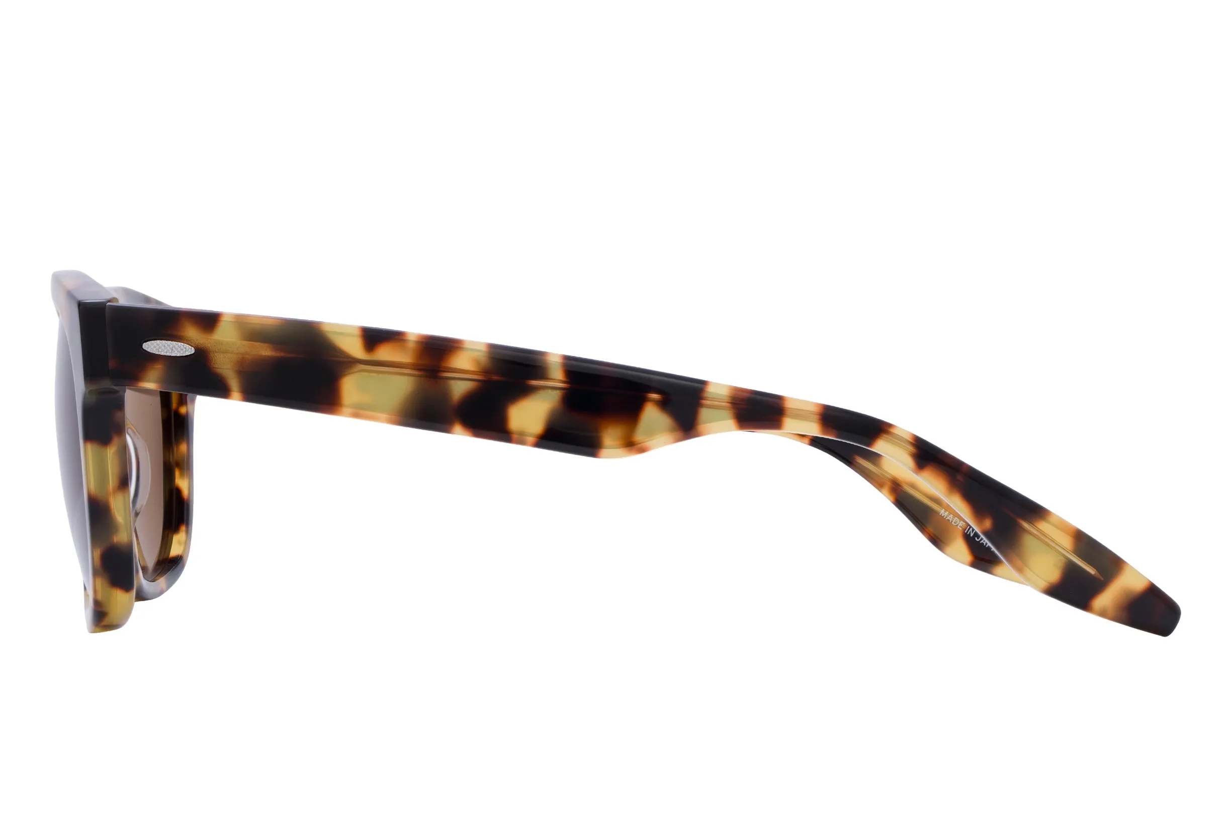 NELSON-Tokyo Tortoise / Espresso