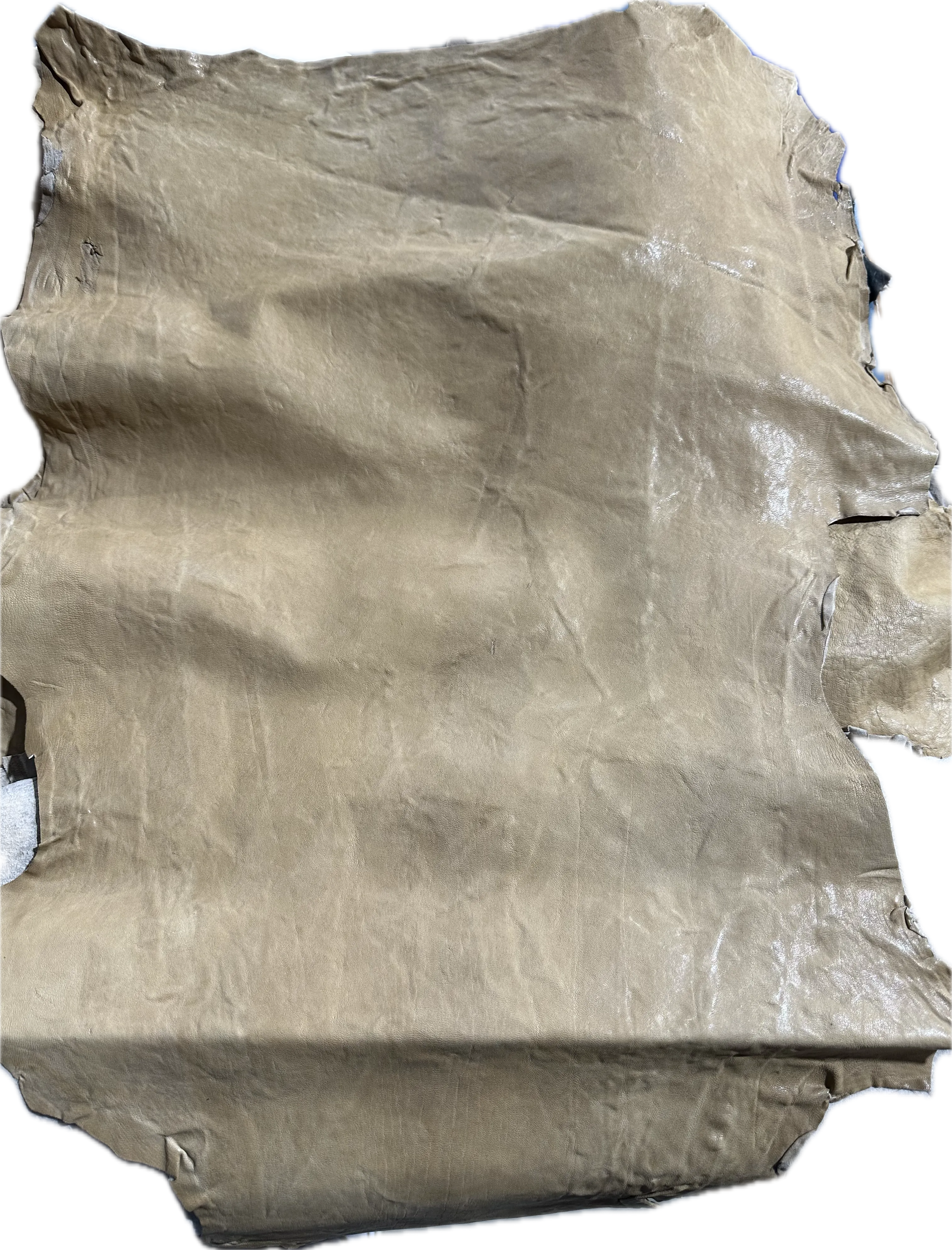 Pantone Light Tan Goat Leather
