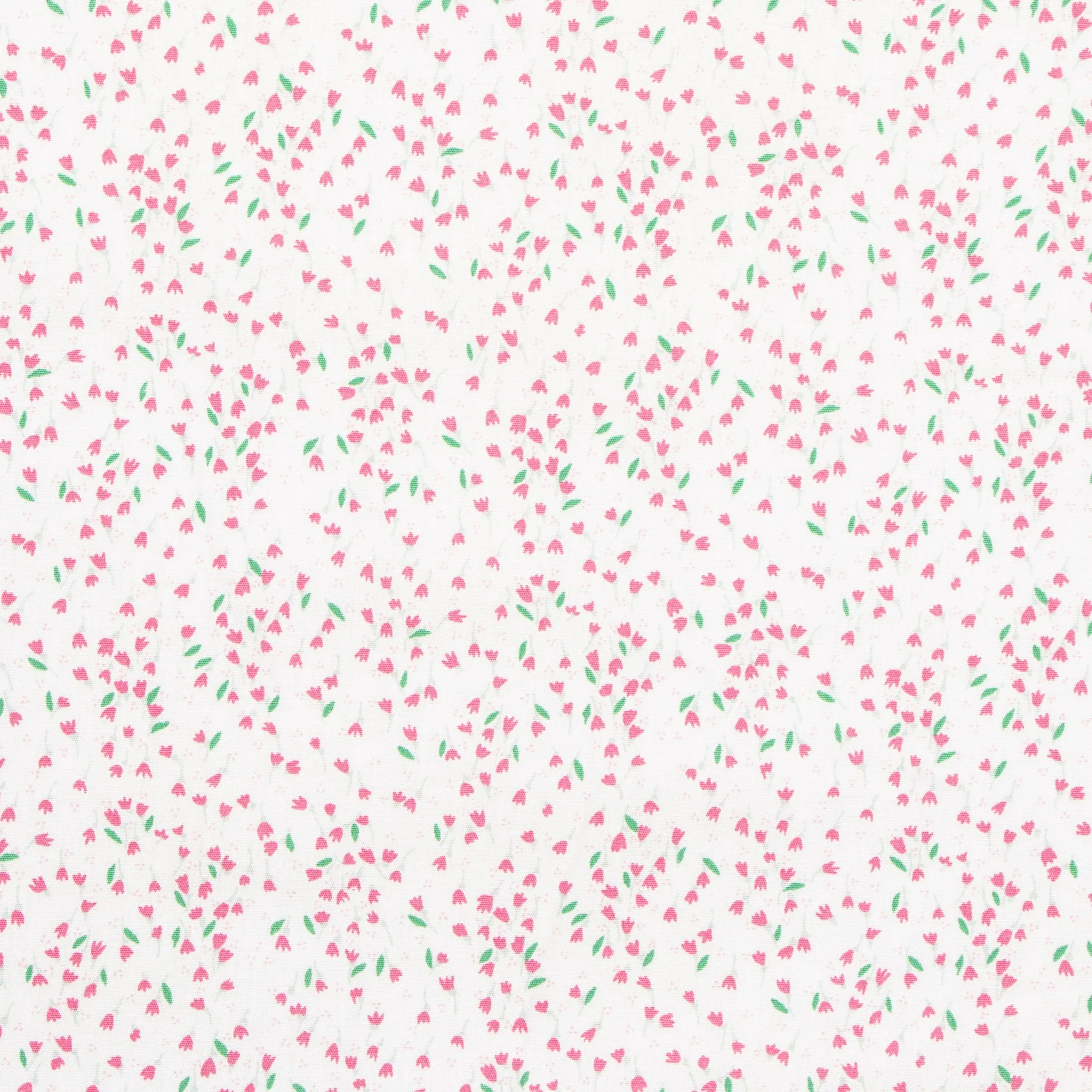 Printed Poplin Cotton 100% Des 15