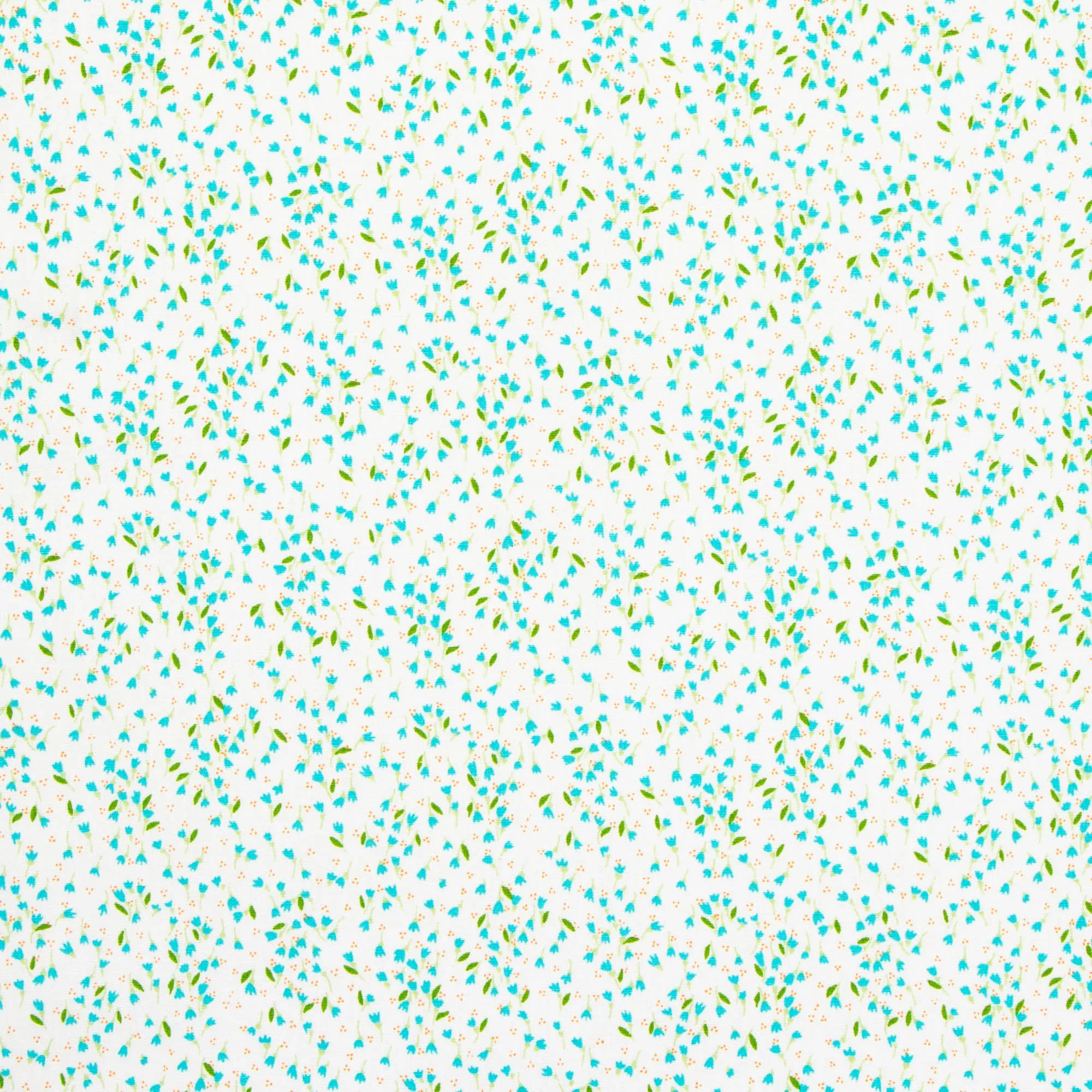 Printed Poplin Cotton 100% Des 17