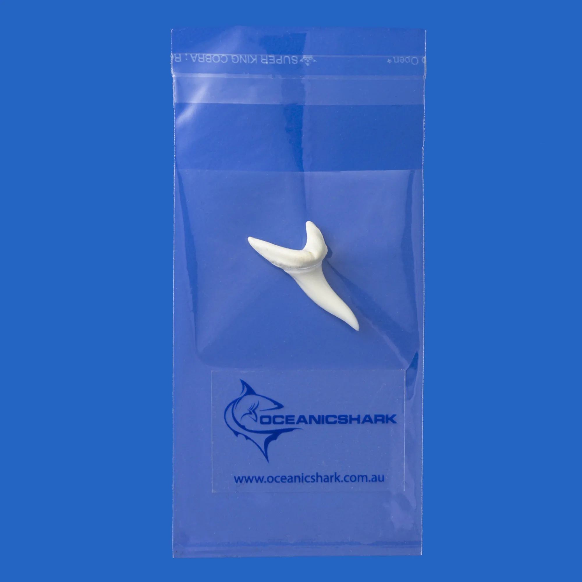 Real Shark Tooth LTM1