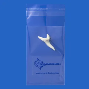 Real Shark Tooth LTM1