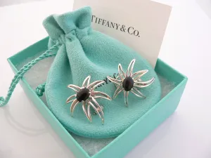 Tiffany & Co Silver Onyx Fireworks Clip On Earrings Gift Pouch Gemstone Love