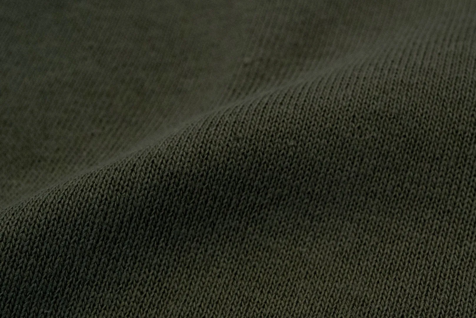 Warehouse Lot.401 10oz "Standard" Loopwheeled Sweatshirt (Olive)